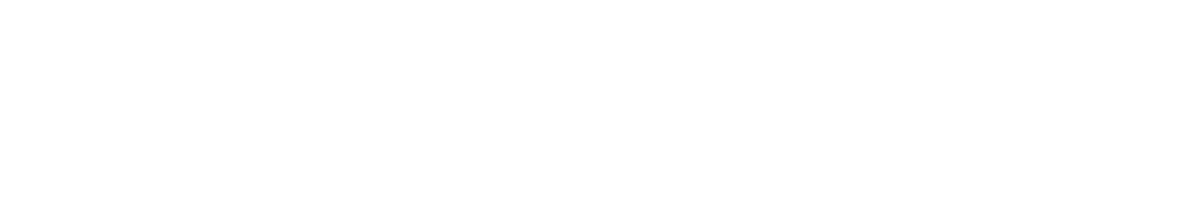 WEB LOGO